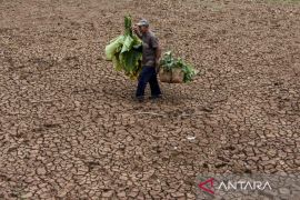 Bencana Hidrometeorologi kekeringan di Jawa Barat