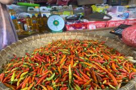 Harga cabai rawit di Gorontalo mulai naik