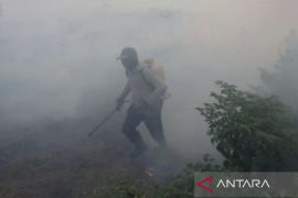 Tapin govt plans Hiyung bird's eye chili center to be antifire