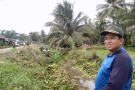 Sambut panen raya, masyarakat Kampung Masjid gotong royong