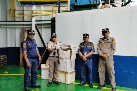 Karantina Gorontalo menyita 150 kg daging ular