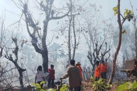 BMKG ingatkan potensi angin kencang pada tiga pulau di NTT