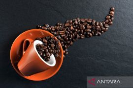 Benar kah minum kopi baik untuk kesehatan?
