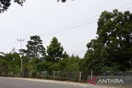 DLH Biak edukasi warga tidak bakar sampah cegah kebakaran