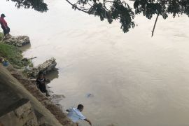 Anak-anak nekad bermain di sekitar Sungai Palu yang diketahui banyak buayanya Page 1 Small