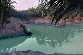 PTPN V bantah lakukan aktivitas penambangan ilegal