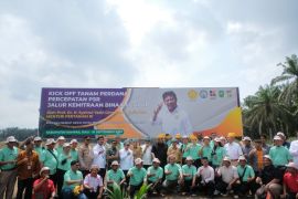 Jalur kemitraan percepat program peremajaan sawit rakyat