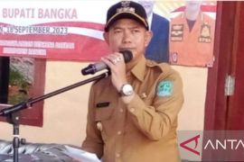 Bupati Bangka: Tetap jaga persatuan walau beda pilihan di pilkades