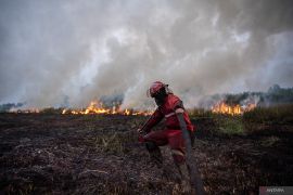 BMKG ingatkan potensi karhutla di sejumlah wilayah