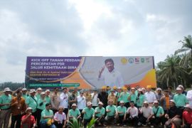 Jalur kemitraan percepat program Peremajaan Sawit Rakyat
