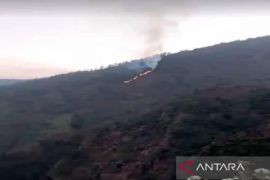 Kebakaran hutan di Lereng Gunung Merbabu Boyolali meluas
