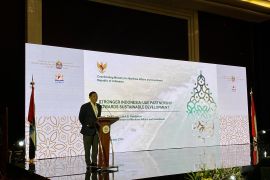 Menteri Luhut: Perekonomian RI tumbuh baik, tapi banyak yang kritik