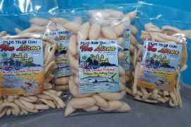 Usaha Pilus Ikan Tenggiri Lisnawati Terus Berkembang Setelah Jadi Mitra Binaan PT Timah Tbk