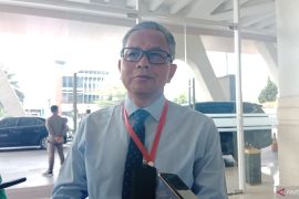 Bank Jambi salurkan Rp227 miliar dana peremajaan kelapa sawit