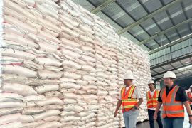 Pupuk Indonesia dorong petani Sumut tebus pupuk bersubsidi secara digital