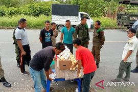 Satpol PP tertibkan penjual buah di pinggir jalan lintas
