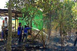 BPBD Tapin selamatkan bangunan SD Negeri dari karhutla