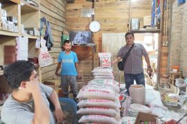 Harga beras Rp17 ribu/kg di Aekkuo Labura