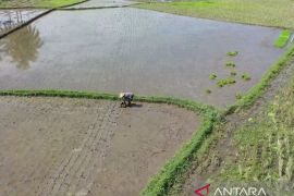 Menjaga dan tingkatkan kesejahteraan petani dengan optimalisasi sistem irigasi