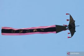 Pj Bupati Tapin ingin adakan Festival "Badandang" se-Kalsel