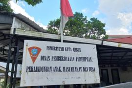 Kasus kekerasan perempuan di Ambon dominasi KDRT