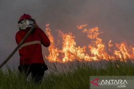 Serangkaian kebakaran landa AS bagian barat, picu evakuasi luas