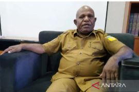 Kadinkes: Tingkat kematian ibu melahirkan di Papua masih tinggi