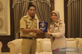 BKP Pangkalpinang fasilitasi ekspor 26,5 ton porang kering