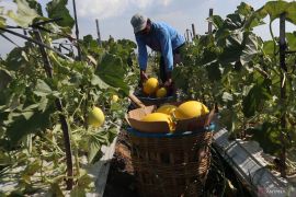 BPS catat NTP di Jatim naik 1,13 persen