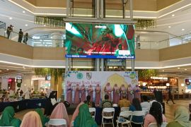 Sambut Maulid Nabi, MUI Pekanbaru adakan festival rebana