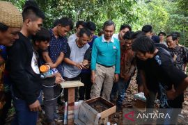 Warga suku Punan manfaatkan madu kelulut sebagai sumber penghasilan