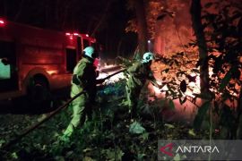  47 petak ilalang terbakar pada September