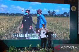 Upward trend in agri exports in 2019--2022: ministry