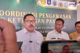Kementan: Babel manfaatkan bekas tambang sebagai embung pertanian