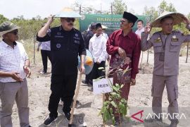 Kementan gelar gerakan menanam di Ponpes Belitung