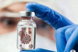 Dinkes Bali: Wisatawan India bergejala Virus Nipah  perlu dicurigai