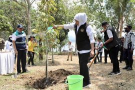 Pemprov Jatim kuatkan gerakan tanam pohon hadapi perubahan iklim