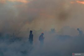 Kasus ISPA di Tapin tinggi sebelum karhutla, balita paling banyak