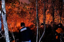 BPBD bersama perusahaan tambang padamkan karhutla di Tapin