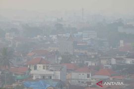Riau mulai diselimuti kabut asap, ini keterangan BMKG