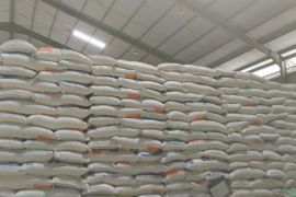 Tak perlu panik, stok beras di Jember aman