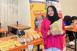 Mahasiswi Unmuh Jember kembangkan sandal dari tanaman gambas