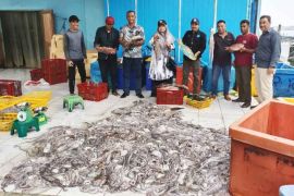 Potensi perikanan Simeulue capai Rp46 miliar setiap tahun