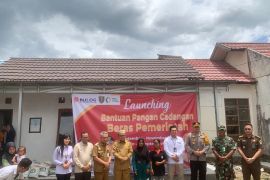 Bupati Tabalong resmikan balai adat Desa Dambung