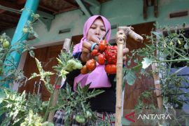Program 'Harum Madu' Garut untuk dukung stabilitas ekonomi keluarga