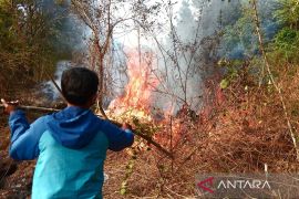 Menteri LHK: Potensi Karhutla meningkat di musim kemarau
