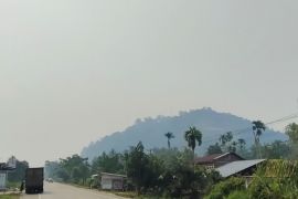 DLH : Kualitas udara di Dharmasraya tidak sehat