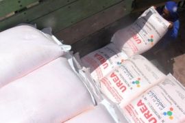 Dinperta Tulungagung sebut serapan pupuk bersubsidi perlu dioptimalkan