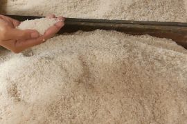 Bulog Kedu pastikan ketersediaan beras hingga panen raya