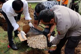 Ditpolairud gagalkan penyelundupan ribuan butir telur penyu di Kalbar